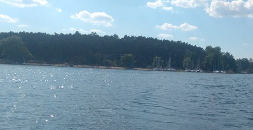 Dzika Plaża